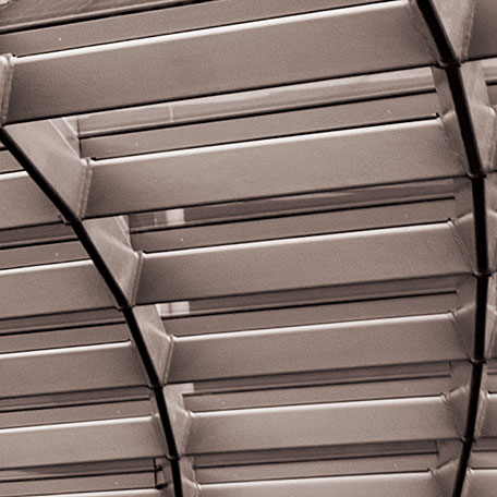 Insights & Experience - Financial Services